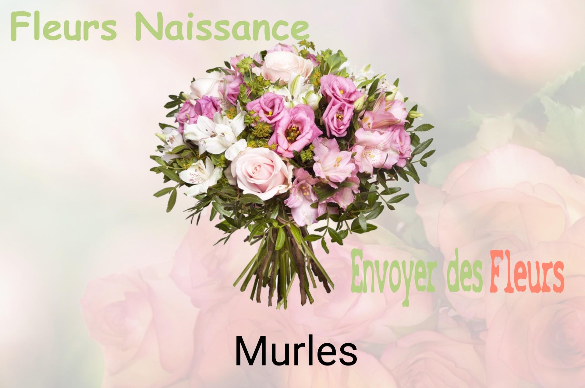 Bouquet de fleurs de naissance livré à Murles